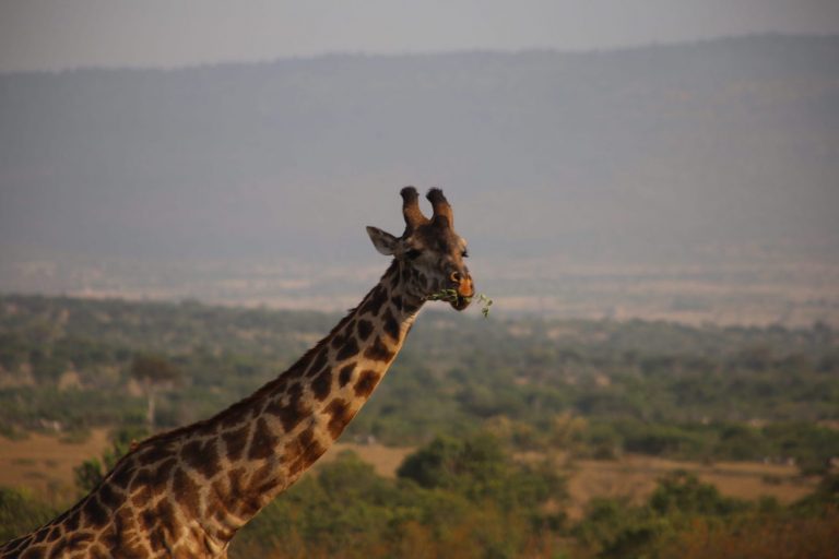Kenia-Reisebericht-Nadine-Hiden-Have-big-dreams-Reisetipps11