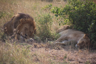 Kenia-Reisebericht-Nadine-Hiden-Have-big-dreams-Reisetipps17