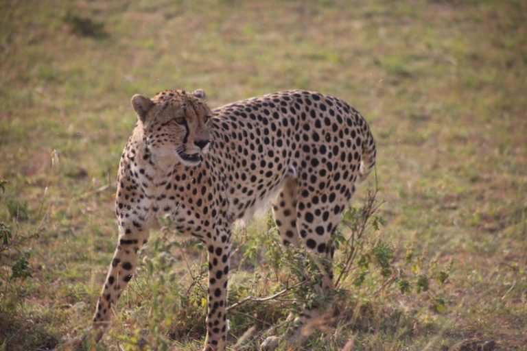 Kenia-Reisebericht-Nadine-Hiden-Have-big-dreams-Reisetipps22