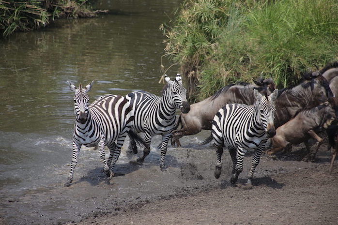 Kenia-Reisebericht-Nadine-Hiden-Have-big-dreams-Reisetipps24