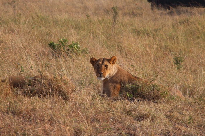Kenia-Reisebericht-Nadine-Hiden-Have-big-dreams-Reisetipps26