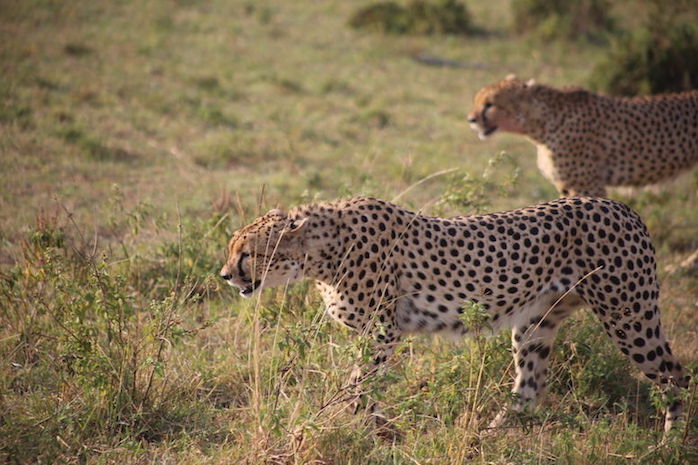 Kenia-Reisebericht-Nadine-Hiden-Have-big-dreams-Reisetipps27