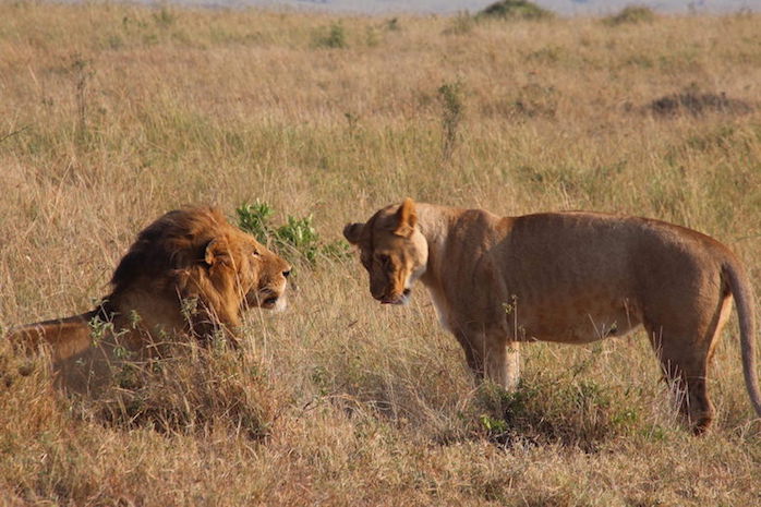 Kenia-Reisebericht-Nadine-Hiden-Have-big-dreams-Reisetipps28