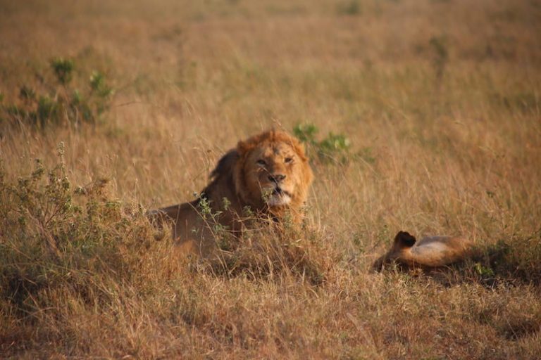 Kenia-Reisebericht-Nadine-Hiden-Have-big-dreams-Reisetipps29