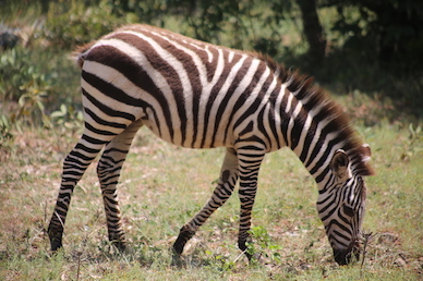 Kenia-Reisebericht-Nadine-Hiden-Have-big-dreams-Reisetipps4