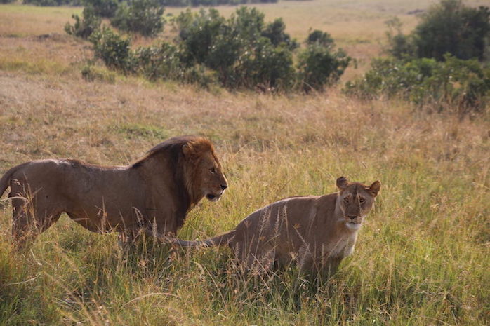 Kenia-Reisebericht-Nadine-Hiden-Have-big-dreams-Reisetipps44