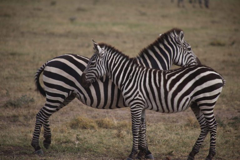 Kenia-Reisebericht-Nadine-Hiden-Have-big-dreams-Reisetipps46