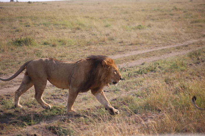 Kenia-Reisebericht-Nadine-Hiden-Have-big-dreams-Reisetipps53