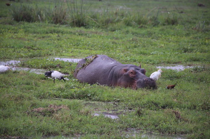 Kenia-Reisebericht-Nadine-Hiden-Have-big-dreams-Reisetipps57