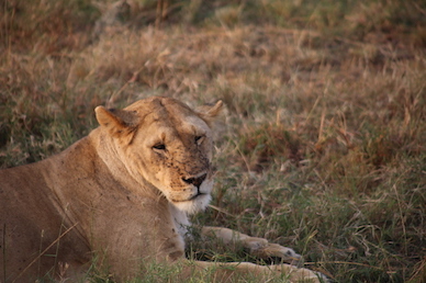 Kenia-Reisebericht-Nadine-Hiden-Have-big-dreams-Reisetipps66