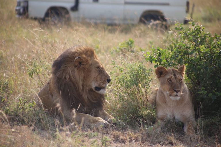 Kenia-Reisebericht-Nadine-Hiden-Have-big-dreams-Reisetipps7