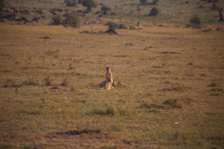 Kenia-Reisebericht-Nadine-Hiden-Have-big-dreams-Reisetipps72