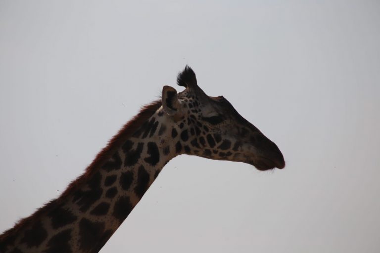 Kenia-Reisebericht-Nadine-Hiden-Have-big-dreams-Reisetipps73