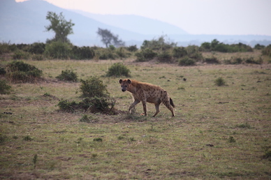 Kenia-Reisebericht-Nadine-Hiden-Have-big-dreams-Reisetipps79