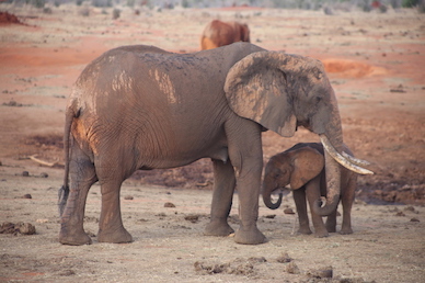 Kenia-Reisebericht-Nadine-Hiden-Have-big-dreams-Reisetipps80