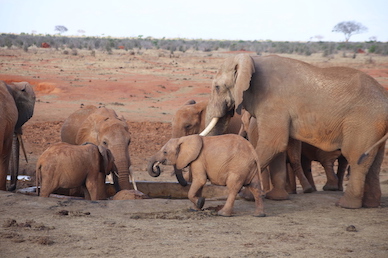 Kenia-Reisebericht-Nadine-Hiden-Have-big-dreams-Reisetipps81