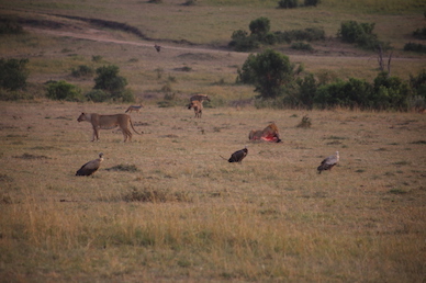 Kenia-Reisebericht-Nadine-Hiden-Have-big-dreams-Reisetipps85