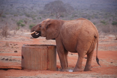 Kenia-Reisebericht-Nadine-Hiden-Have-big-dreams-Reisetipps92