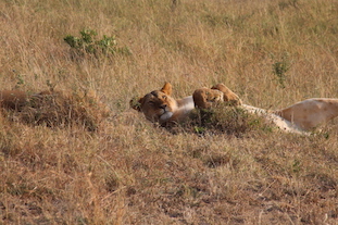 Kenia-Reisebericht-Nadine-Hiden-Have-big-dreams-Reisetipps95