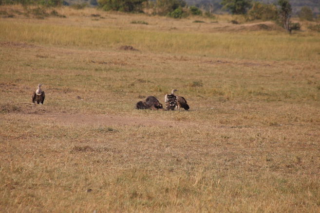 Kenia-Reisebericht-Nadine-Hiden-Have-big-dreams10
