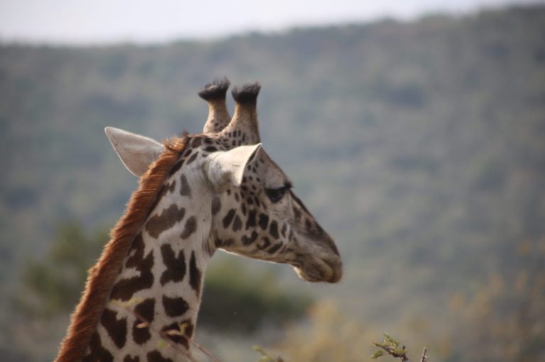 Kenia-Reisebericht-Nadine-Hiden-Have-big-dreams14