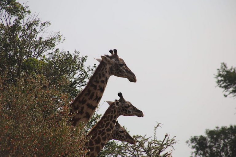 Kenia-Reisebericht-Nadine-Hiden-Have-big-dreams15