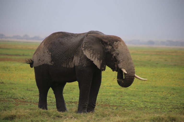 Kenia-Reisebericht-Nadine-Hiden-Have-big-dreams19