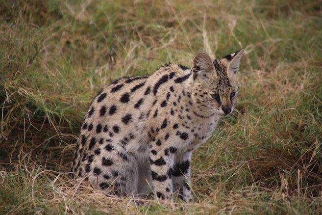 Kenia-Reisebericht-Nadine-Hiden-Have-big-dreams25
