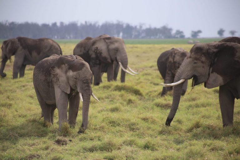 Kenia-Reisebericht-Nadine-Hiden-Have-big-dreams27