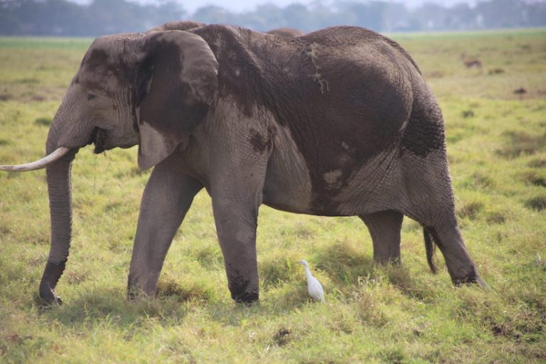 Kenia-Reisebericht-Nadine-Hiden-Have-big-dreams28