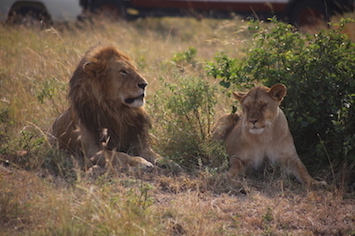 Kenia-Reisebericht-Nadine-Hiden-Have-big-dreams3