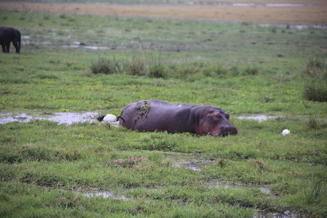 Kenia-Reisebericht-Nadine-Hiden-Have-big-dreams35