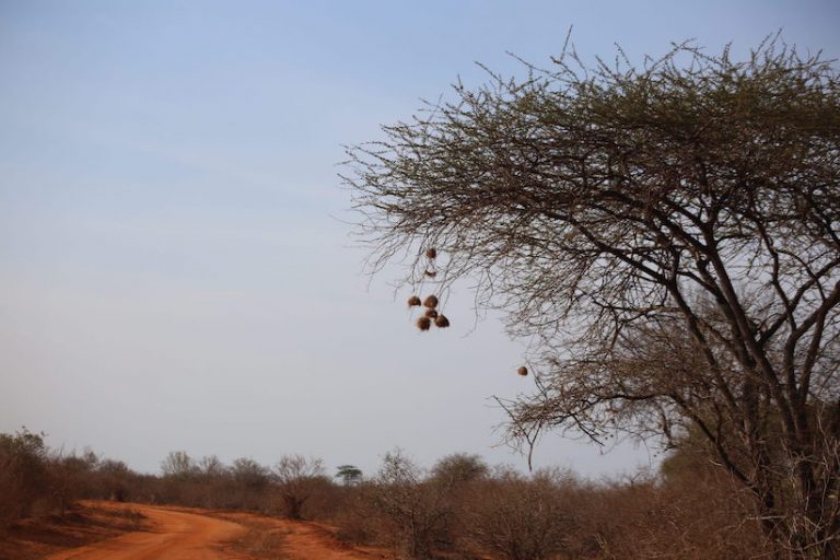 Kenia-Reisebericht-Nadine-Hiden-Have-big-dreams49