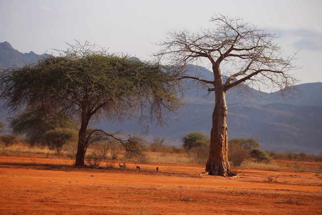 Kenia-Reisebericht-Nadine-Hiden-Have-big-dreams54