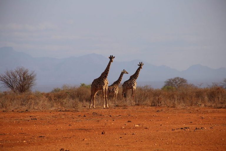 Kenia-Reisebericht-Nadine-Hiden-Have-big-dreams55