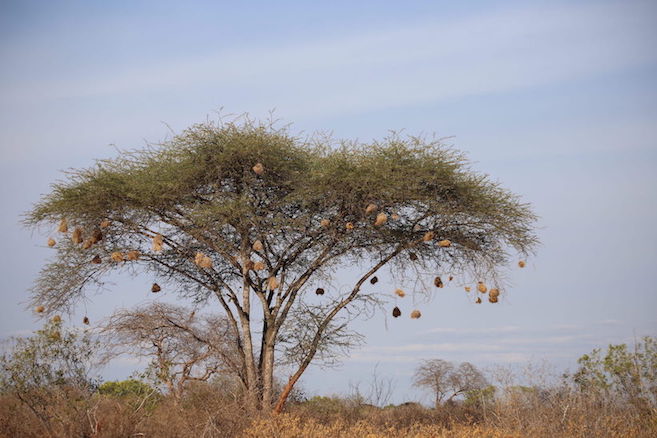 Kenia-Reisebericht-Nadine-Hiden-Have-big-dreams58