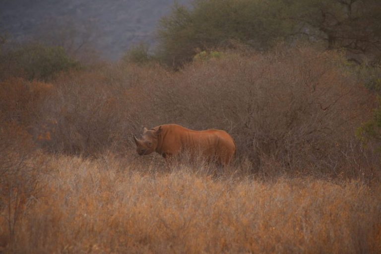 Kenia-Reisebericht-Nadine-Hiden-Have-big-dreams59